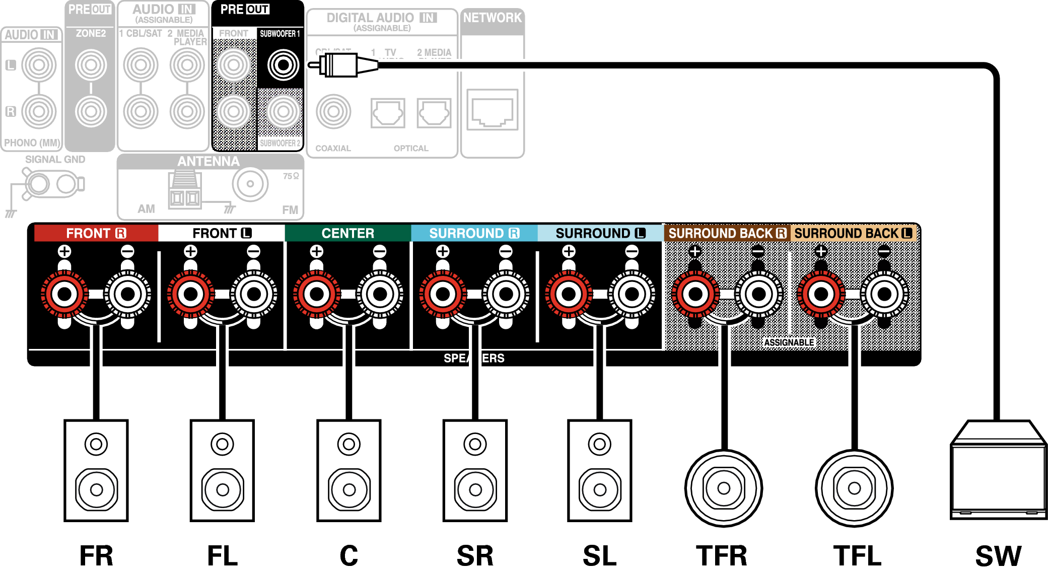 Conne SP 7.1 TF X18E3